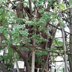 投稿日:2022年10月18日 写真