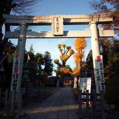 投稿日:2017年12月11日 写真