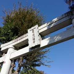 投稿日:2017年11月7日 写真