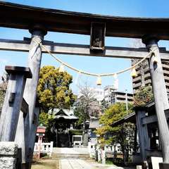 写真