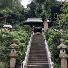 写真