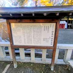 投稿日:2025年12月28日 写真