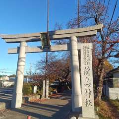 投稿日:2024年12月18日 写真