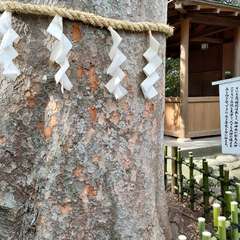 投稿日:2022年2月6日 写真