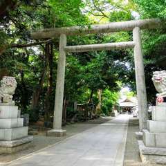 投稿日:2019年9月7日 写真