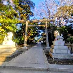 投稿日:2025年12月28日 写真