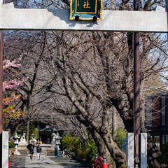 投稿日:2024年3月4日 写真