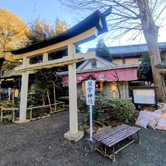 投稿日:2025年12月28日 写真