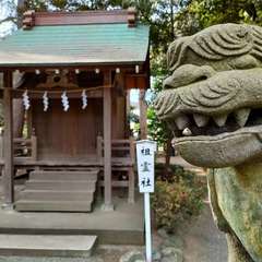 投稿日:2022年2月6日 写真