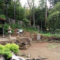 投稿日:2023年3月20日 写真