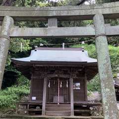 写真
