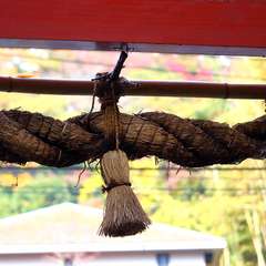 投稿日:2014年12月25日 写真