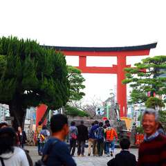 投稿日:2014年12月30日 写真