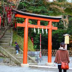 投稿日:2014年12月25日 写真