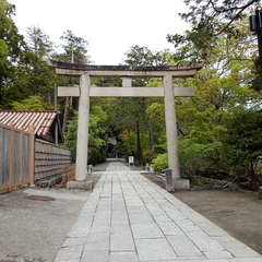 投稿日:2023年3月21日 写真