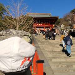 投稿日:2021年12月20日 写真