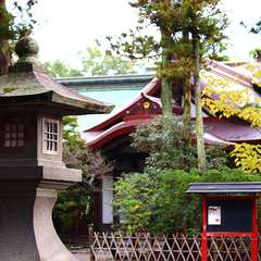 投稿日:2014年12月30日 写真