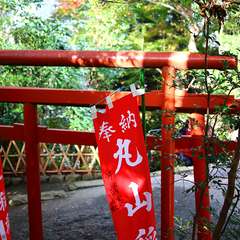 投稿日:2014年12月25日 写真