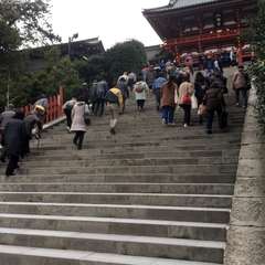 投稿日:2016年3月10日 写真