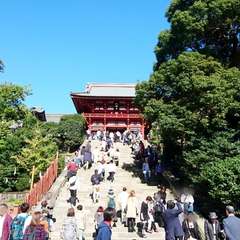 投稿日:2021年5月8日 写真