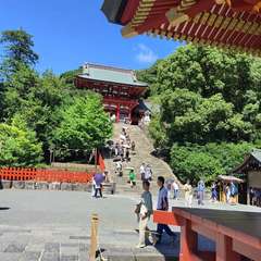 投稿日:2024年8月21日 写真