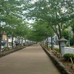 投稿日:2024年8月6日 写真