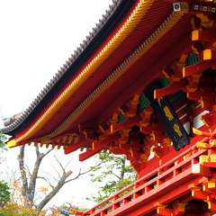 投稿日:2014年12月28日 写真