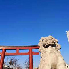 投稿日:2019年12月8日 写真