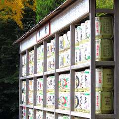 投稿日:2014年12月28日 写真