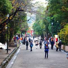 投稿日:2014年12月25日 写真