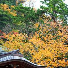 投稿日:2014年12月30日 写真