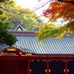 投稿日:2014年12月26日 写真