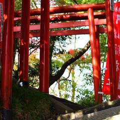 投稿日:2014年12月25日 写真