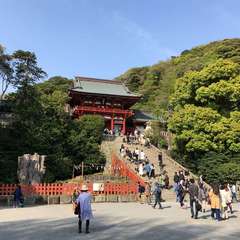 投稿日:2023年3月20日 写真