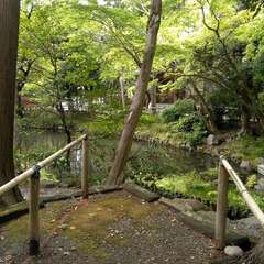 投稿日:2023年3月21日 写真