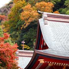 投稿日:2014年12月30日 写真