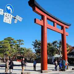 投稿日:2024年1月2日 写真