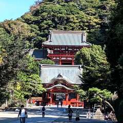 鶴岡八幡宮(投稿日:2025年12月6日) 写真