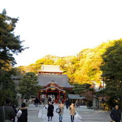 投稿日:2025年7月26日 写真