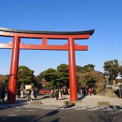 投稿日:2019年12月8日 写真