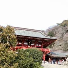 投稿日:2017年3月21日 写真