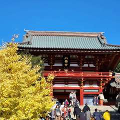 投稿日:2024年1月2日 写真