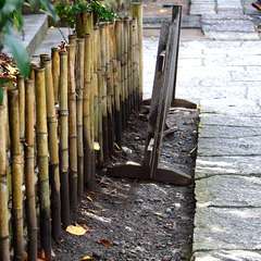 投稿日:2014年12月25日 写真