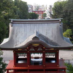 投稿日:2023年10月24日 写真