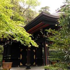 投稿日:2023年3月21日 写真