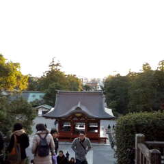 投稿日:2025年7月26日 写真