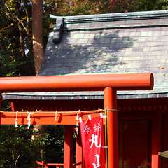 投稿日:2014年12月25日 写真