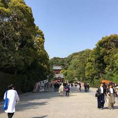 投稿日:2023年3月21日 写真