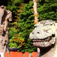 投稿日:2014年12月28日 写真