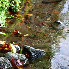 投稿日:2014年12月25日 写真